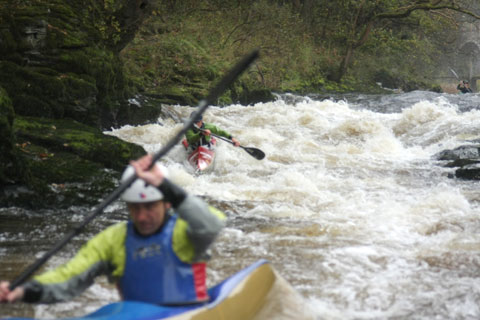 sharks_wild_race_480 Wild Water Racing. Two wild water kayakers race on a white water river rapid.